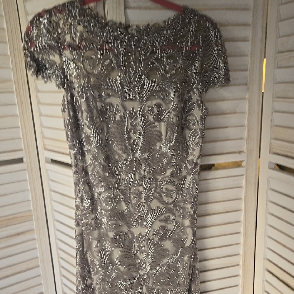 Elegant Silver Lace Dress